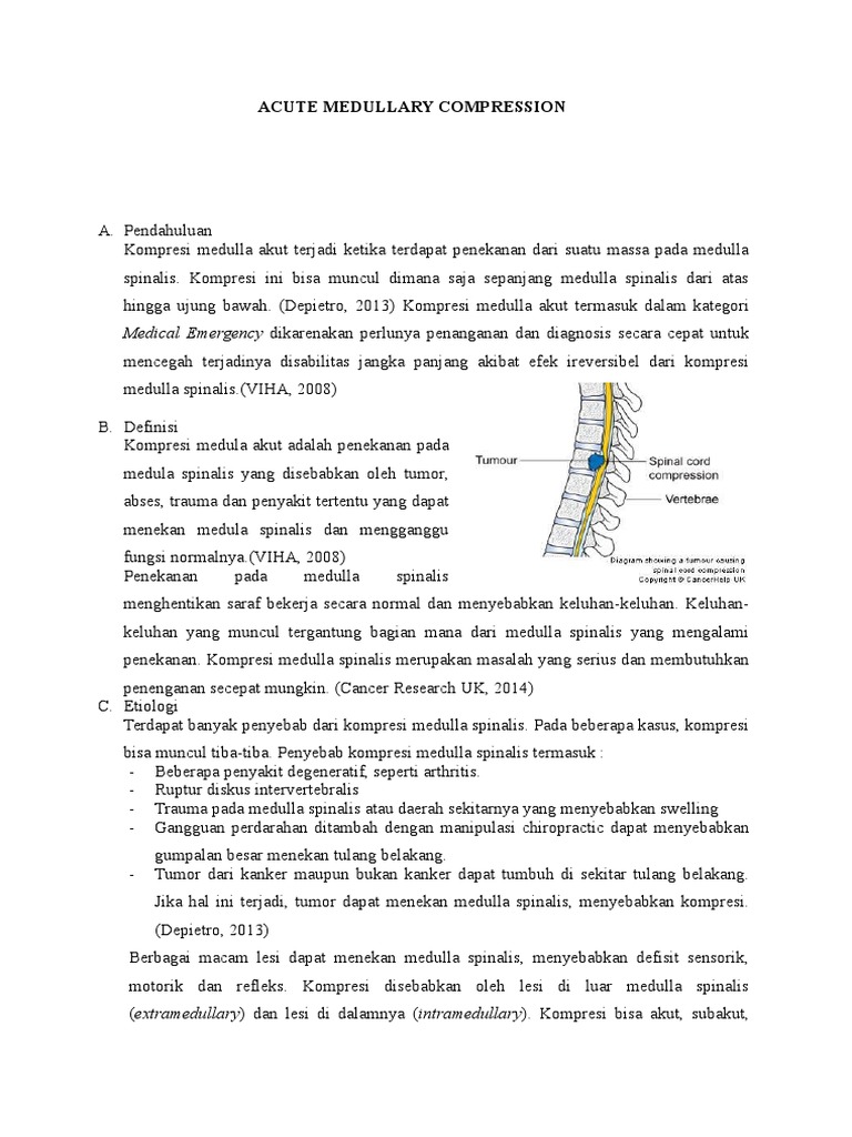 Kompresi Medula Spinalis Akut | PDF