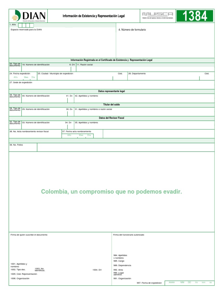 Formato 1384: Información Legal DIAN | PDF | Derecho