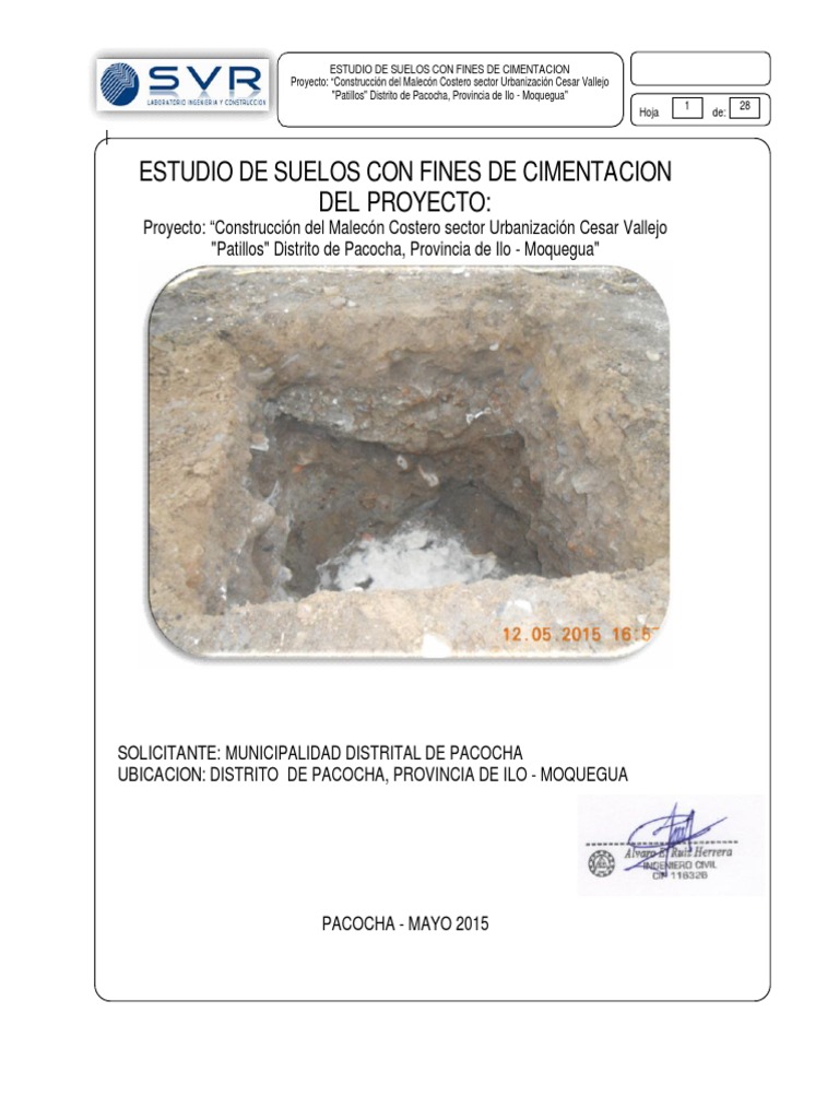 Informe #01 Pacocha | PDF