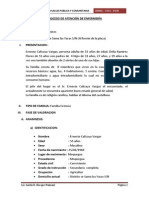 PROCESO DE ATENCIÓN DE ENFERMERÍA luida.pdf