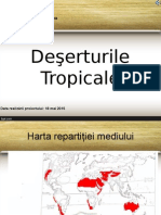 Deşerturile Tropicale Powerpoint