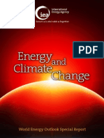 Special Report on Energy and Climate Change