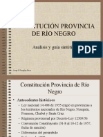 Constitucion Provincia de Rio Negro Sintesis
