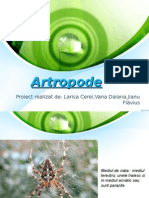 Artropode Power Point - Cls A IX A