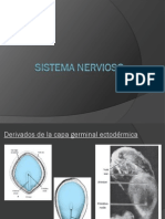 Sistema Nervioso Embriologia