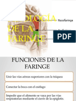 Fisiología de La Faringe