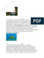 ANIMALES EN PELIGRO DE EXTINCION MEXICANOS.docx