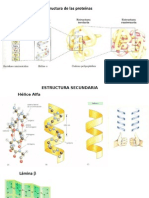 Estructuras secundarias y terciarias de proteínas