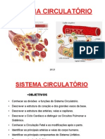 Sistema Circulatório 2013(1)