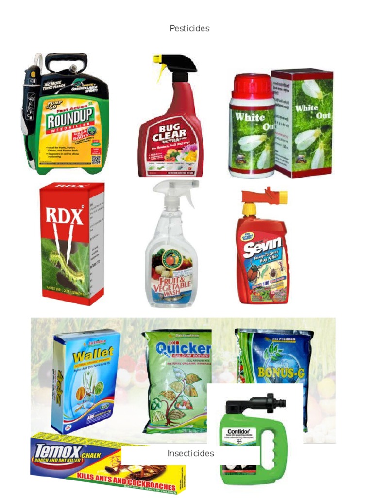 Materials Used at Home PDF