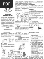 Folheto leites vegetais.pdf