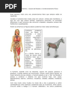 Cavalo Sedentario