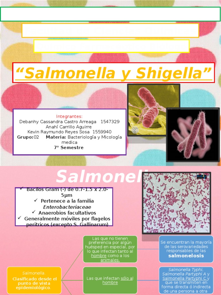 Salmonella y Shigella PDF Salmonela Diarrea