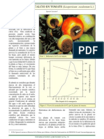 Deficiencia+Ca+en+Tomate