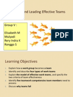 Developing and Leading Effective Teams