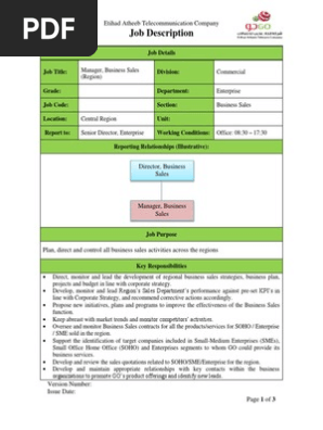Manager Business Sales(Region)