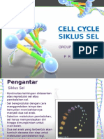 Cell Cycle (Siklus Sel)