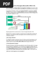 Pertubación de Las Energías (BORSARELLO)