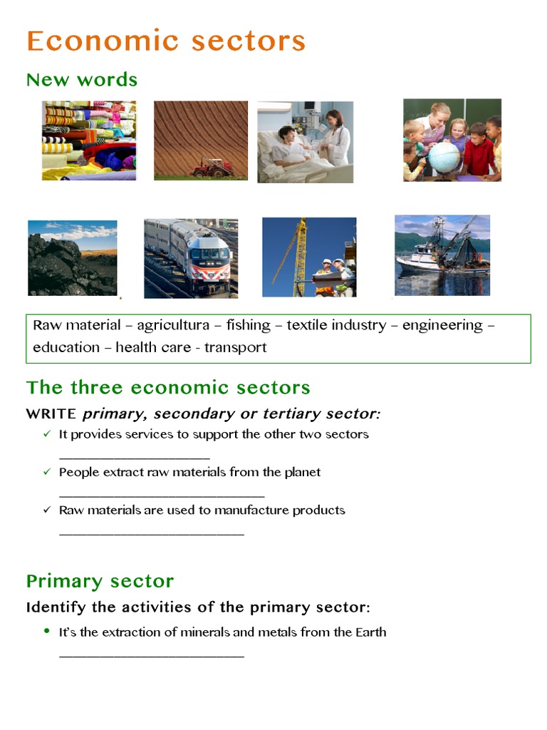 Economic Sectors WORKSHEETS Textiles Tertiary Sector Of The Economy