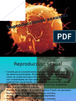 Reproducciones sexuales