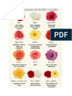 Different Types of Roses