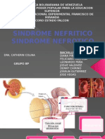 Sindrome Nefri-Nefortico