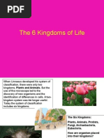 Kingdoms of Life