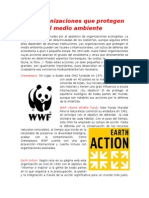 Las Organizaciones Que Protegen El Medio Ambiente