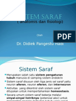 Sistem Persarafan