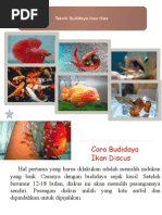 Download Ppt Teknik Budidaya Ikan by Renita Siwi M W SN284187878 doc pdf