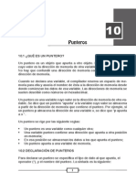 10 Punteros.pdf