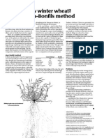 Grow Winter Wheat Fukuoka Bonfils Method