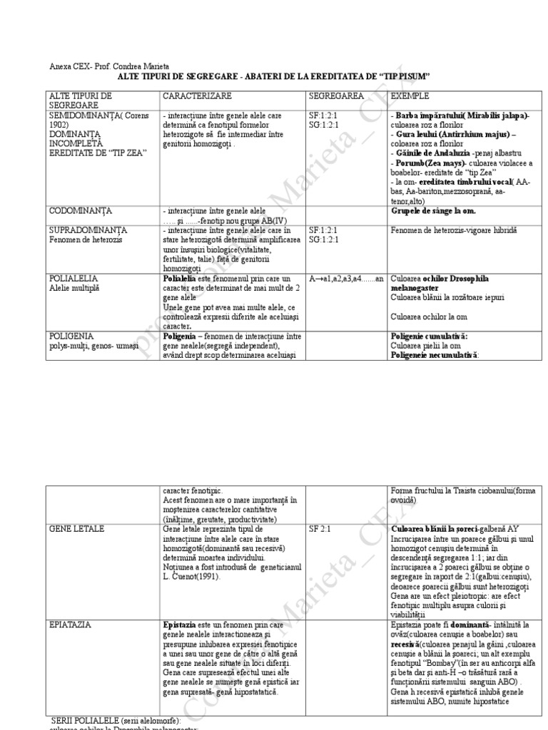 Alte Tipuri de Segregare | PDF