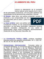 02-Medio Ambiente Peruano Exposicion