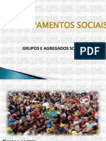 Grupos e Agregados Sociais