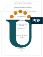 Aporte Individual Fisiologia Vegetal