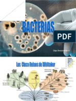 Bacterias Semana 3