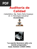 Auditoria de Calidad - Pedro Peña