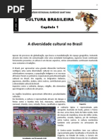 Diversidade Cultural