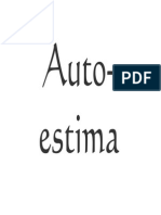 25 Auto Estima