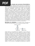 Biossíntese de Carboidratos