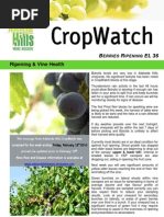 Adelaide Hills Crop Watch 120210