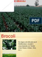 Cultivo de Brocoli.ppt
