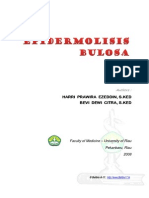 belibis_a17_epidermolisis_bulosa.pdf