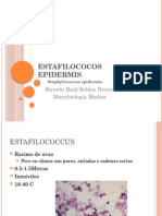 Estafilococos Epidermis (Recuperado)