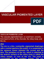 Vascular Pigmented Layer