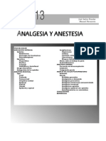 Anestesia y Analgesia en Gestantes