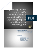 Diagnostico y Analisis Percepcion Poblacion de Ondores PDF