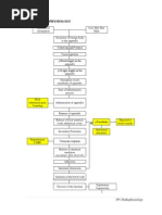 Appendicitis Pathophysiology