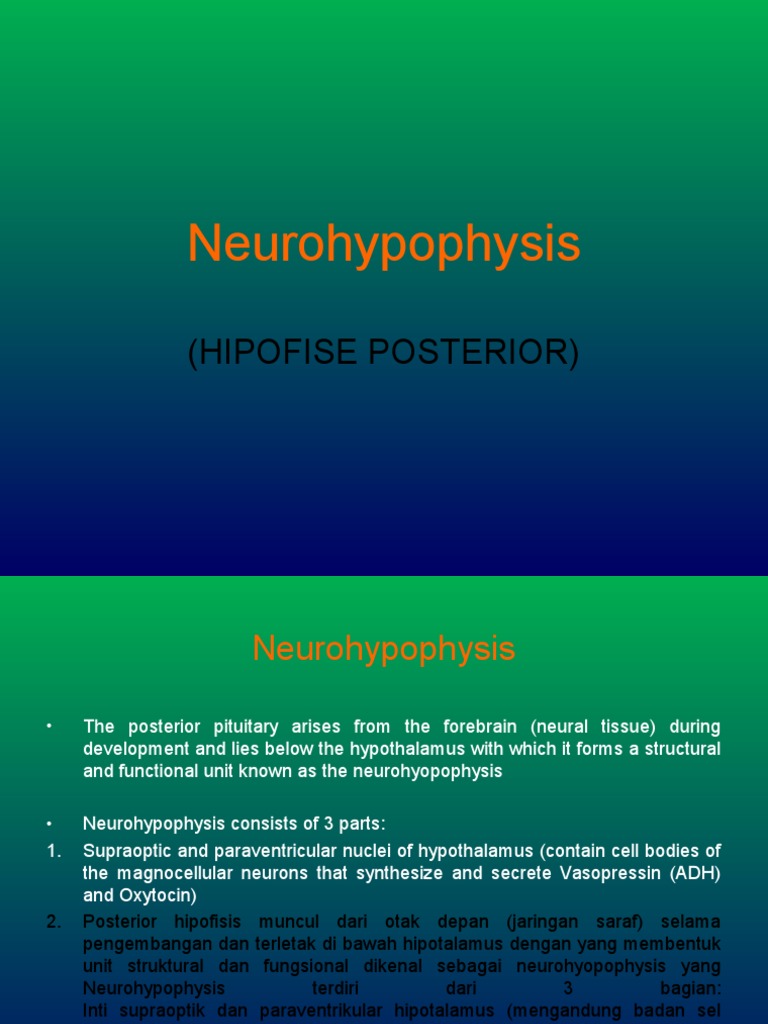 NEUROHIPOFISIS | PDF | Sains & Matematika